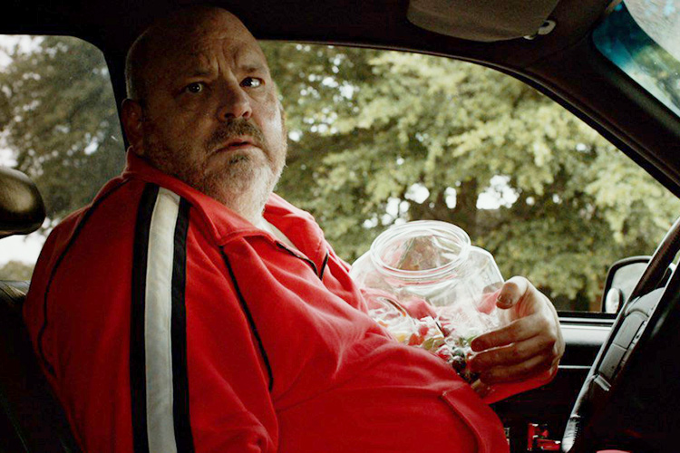 Pruitt Taylor Vince as Ray Smilie in THE DEVIL'S CANDY (2015)